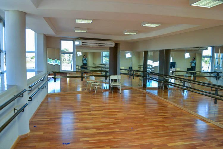 obra-entablonado-eucalipto-rostrata-03