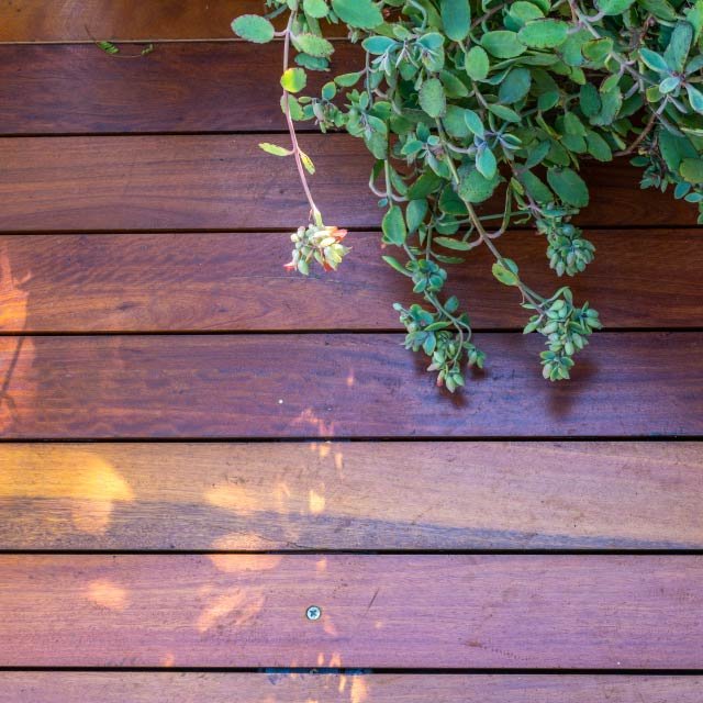 deck-eucalipto-rostrata-madera-maciza-rolon (6)